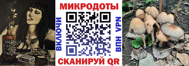 Галлюциногенные грибы GOLDEN TEACHER  Камышлов 